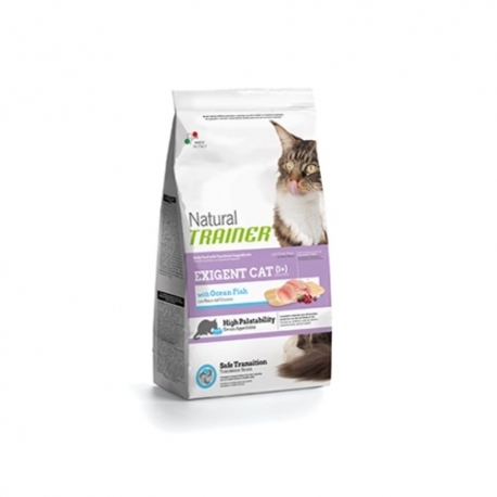 Trainer-Natural Exigent Cat Poisson de lOcéan (1)