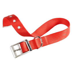 Collar Nylon Club Cf Rojo para perros Ferplast