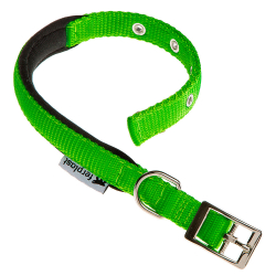 Collar Nylon Daytona C Green para perros Ferplast