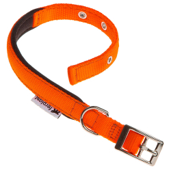 Collar Nylon Daytona C Orange para perros Ferplast