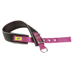 Collar Nylon Daytona Comfort Cf Purple para perros Ferplast