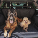 Barrera Coche Viajar con perros Dog Car Security Ferplast