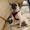 Cinturon Seguridad para perros Dog Travel Belt Black Ferplast