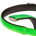 Collar Nylon Daytona C Green para perros Ferplast