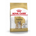 Royal Canin-Bouledogue Anglais Adulte (1)