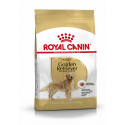 Royal Canin-Golden Retriver Adulte (1)