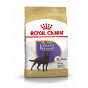 Royal Canin-Labrador Retriever Sterilisé (1)
