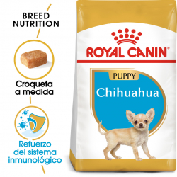 Royal Canin-Chihuahua Chiot (1)