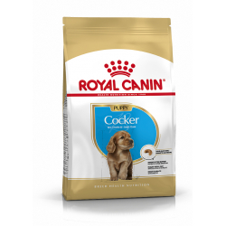Royal Canin-Cocker chiot (1)