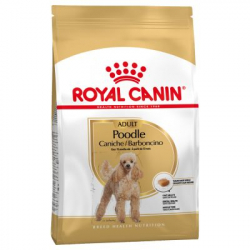 Royal Canin-Caniche Adulte (1)
