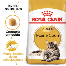 Royal Canin-Maine Coon Adulte (1)
