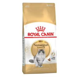 Royal Canin-Croquettes Norwegian Forest Adulte (1)