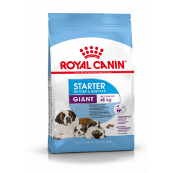 Royal Canin-Giant Starter Gestation/Allaitement (1)