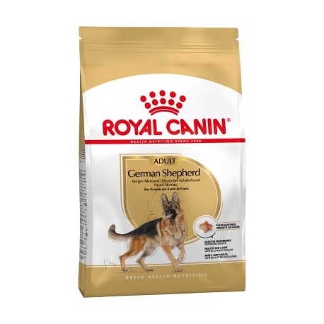 Royal Canin-Berger Allemand Adulte (1)