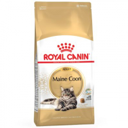 Royal Canin-Maine Coon Adulte (1)