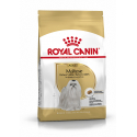 Royal Canin-Bichon Maltais Adulte (1)
