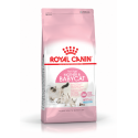 Royal Canin-BabyCat Gestation/Allaitement (1)