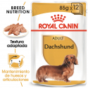 Royal canin comida húmeda para Teckel
