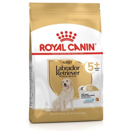 Royal Canin Labrador Retriever Adult +5 Pienso para perros