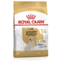 Royal Canin Labrador Retriever Adult +5 Pienso para perros
