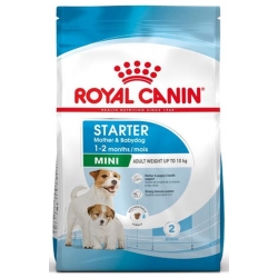 Royal Canin-Mini Starter Gestation/Allaitement (1)