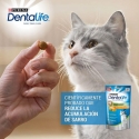 Pack Dentalife de snacks dentales para gatos de pollo
