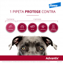 Advantix-+25 KG Pipettes Triple Protection (1)