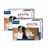 Effitix antiparasitaire pack 2 unités (8 pipettes) pour chiens taille géant (40-60 kg)