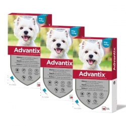 Pack Advantix 3 unités (12 pipettes) pour petits chiens (4-10kg)