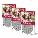 Advantix pack 3 unités (12 pipettes) pour chiens taille moyenne (10-25 kg)