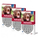 Advantix pack 3 unités (12 pipettes) pour les grands chiens (+25kg)