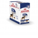 Royal Canin Maxi pack de sobres para perros adultos