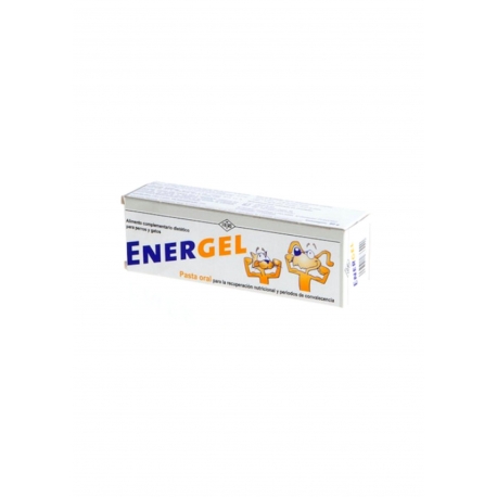 Fatro-EnerGel pour Chien et Chat (1)