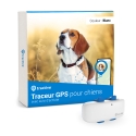 Localisateur GPS Tractive Pour chien
