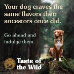 Taste of the Wild Southwest Canyon comida húmeda para perros (Latas)