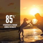 Croquettes Orijen pour chiots mini et moyens au poulet