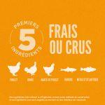 Croquettes Orijen pour chiots mini et moyens au poulet