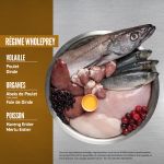 Croquettes Orijen pour chiots mini et moyens au poulet