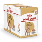 Royal Canin Poodle packs sobres para perros adultos