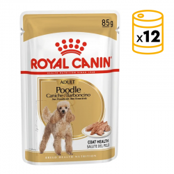 Royal Canin Poodle packs sobres para perros adultos