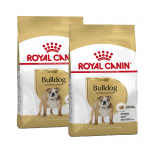 Royal Canin-Bouledogue Anglais Adulte (1)