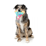 Fuzzyard Pizza Zombie Juguete para Perros Halloween