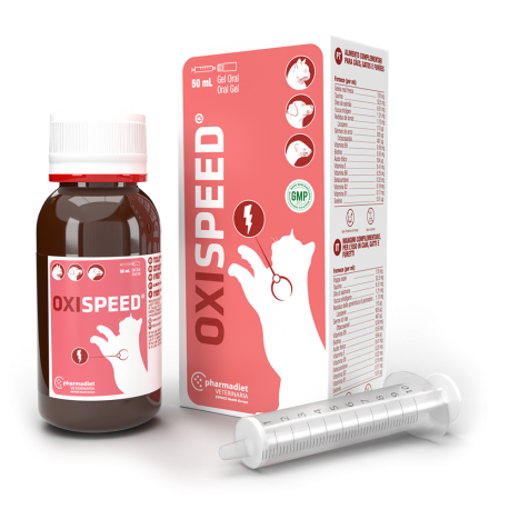 Oxispeed Gel pour Chat