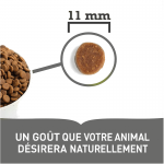 Acana-Chien Adulte Petites Races (1)