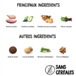 Croquettes pour Chiots Ownat Prime Grain Free Junior avec Poulet et Dinde