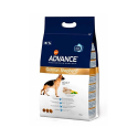 Affinity Advance-Berger Allemand Adulte (1)