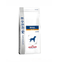 Royal Canin Veterinary Diets-Renal Select (1)